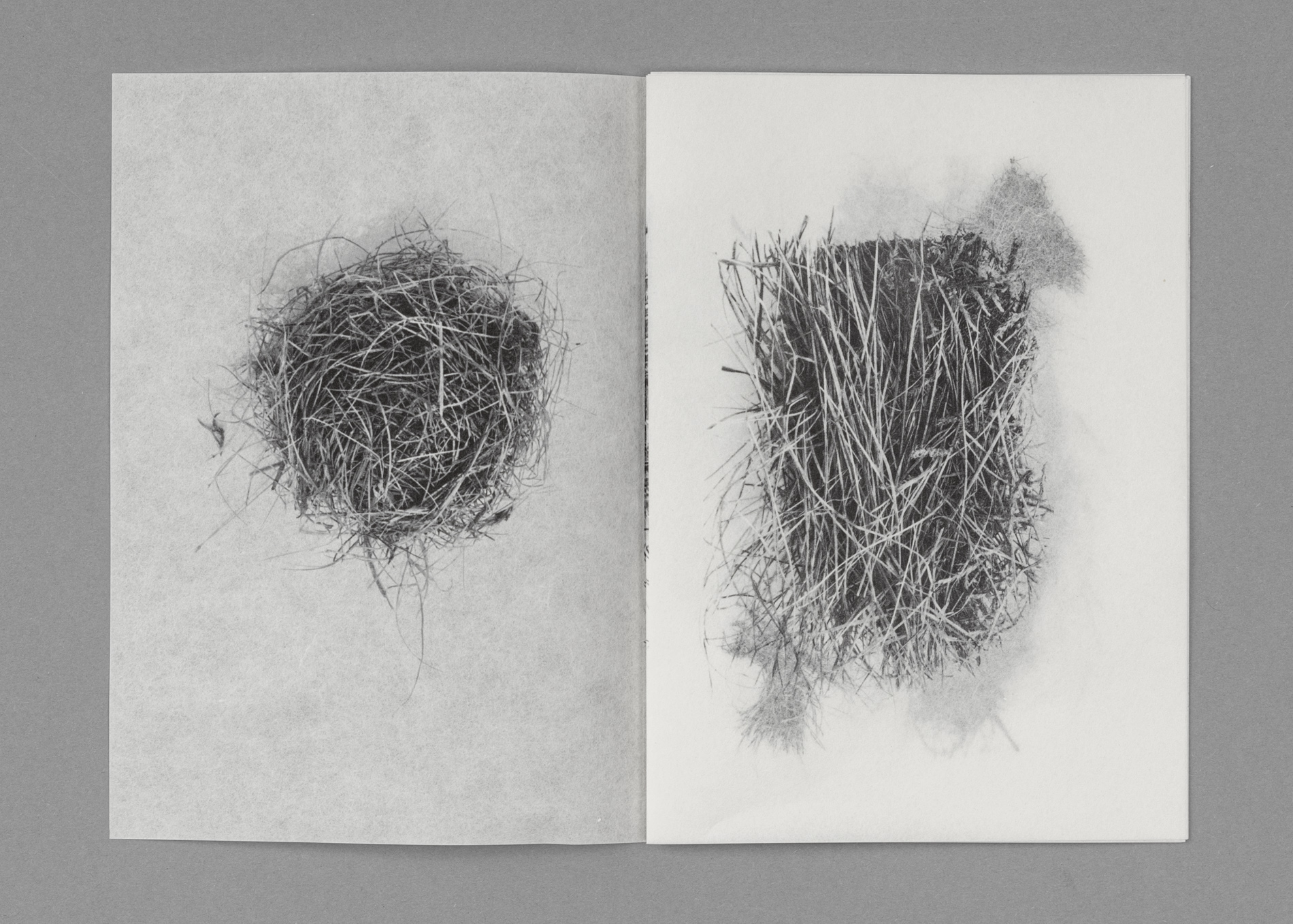 D_Eissfeldt-Grasfetz_repro-305-cover-sRGB-75dpi