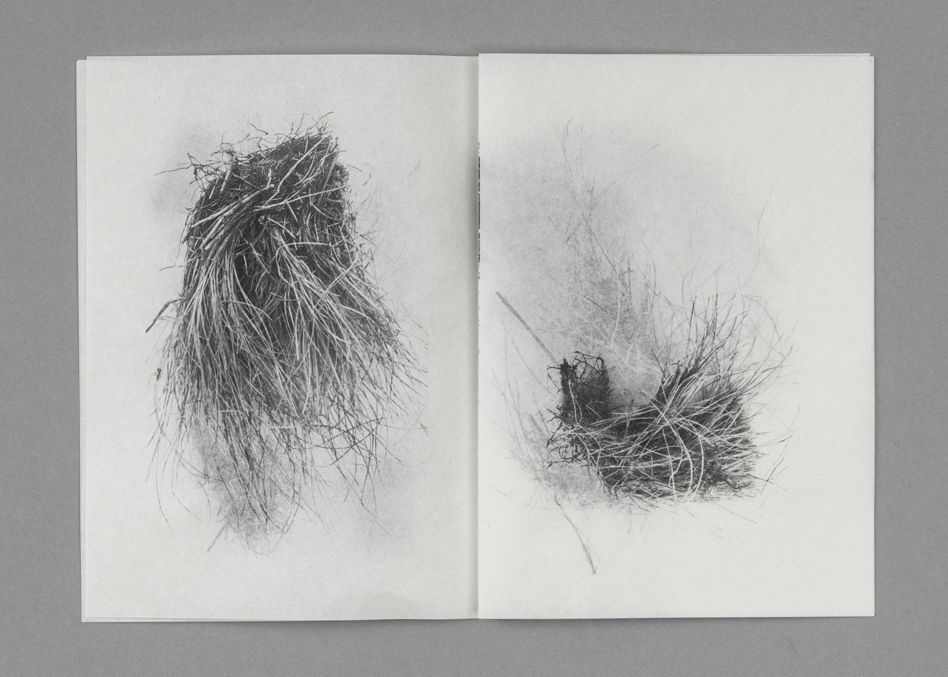 D_Eissfeldt-Grasfetz_repro-307-cover-sRGB-75dpi