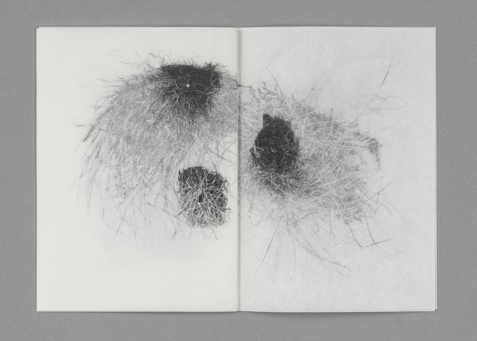 D_Eissfeldt-Grasfetz_repro-310-cover-sRGB-75dpi