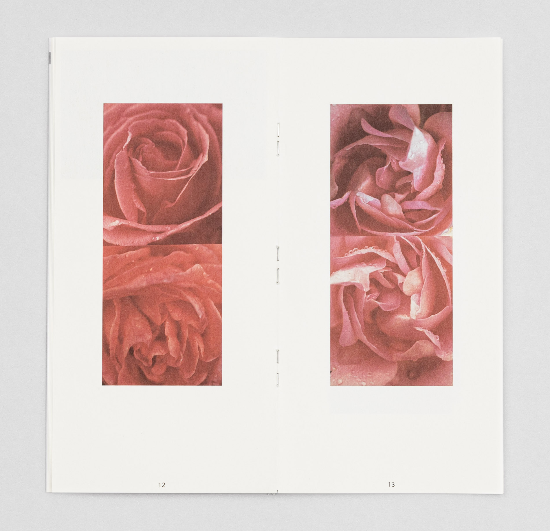 D_Eissfeldt-MKG-Siegfried_repro-513-web_grau