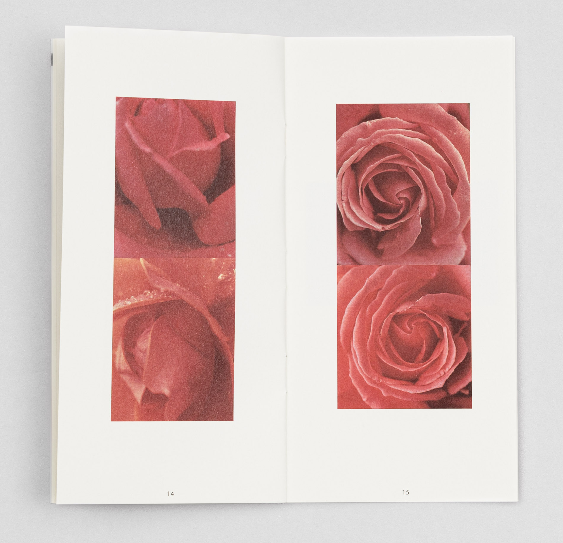 D_Eissfeldt-MKG-Siegfried_repro-514-web_grau