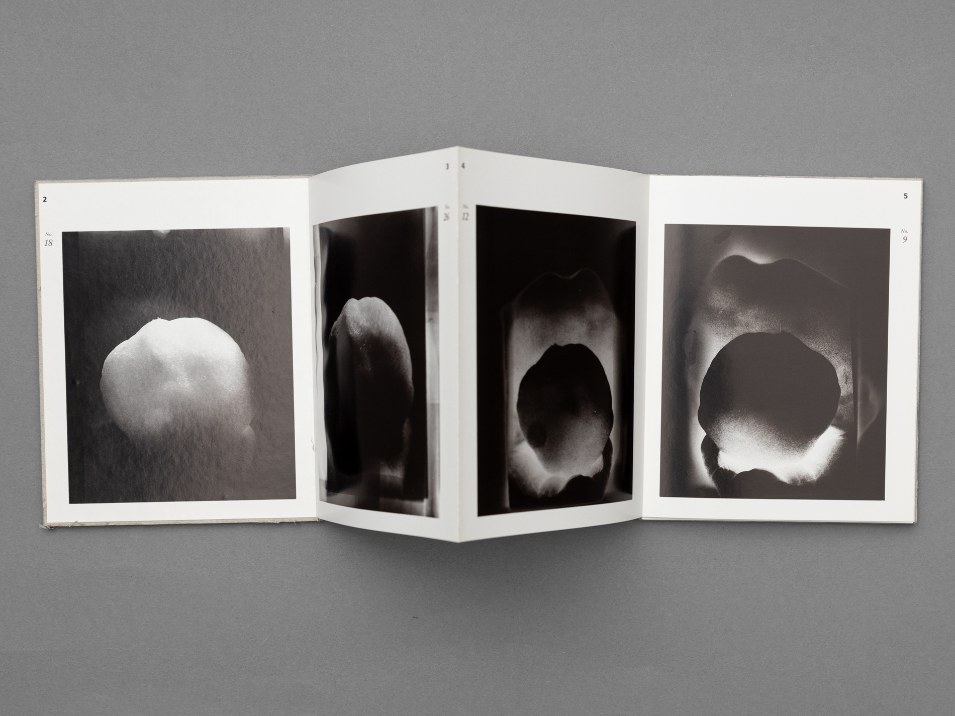 Schneeball, 1990. European Photography Verlag, Göttingen