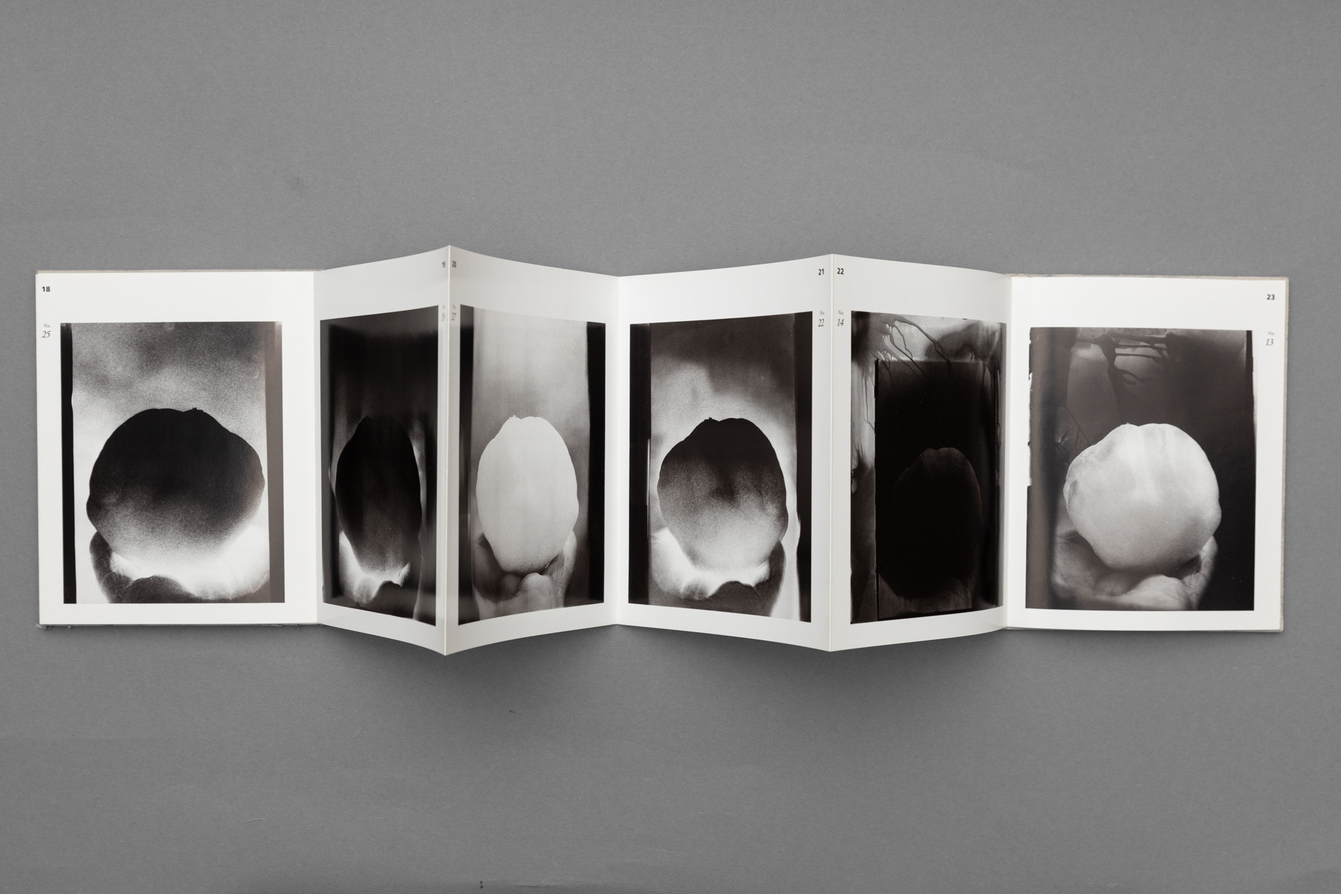 Schneeball, 1990. European Photography Verlag, Göttingen