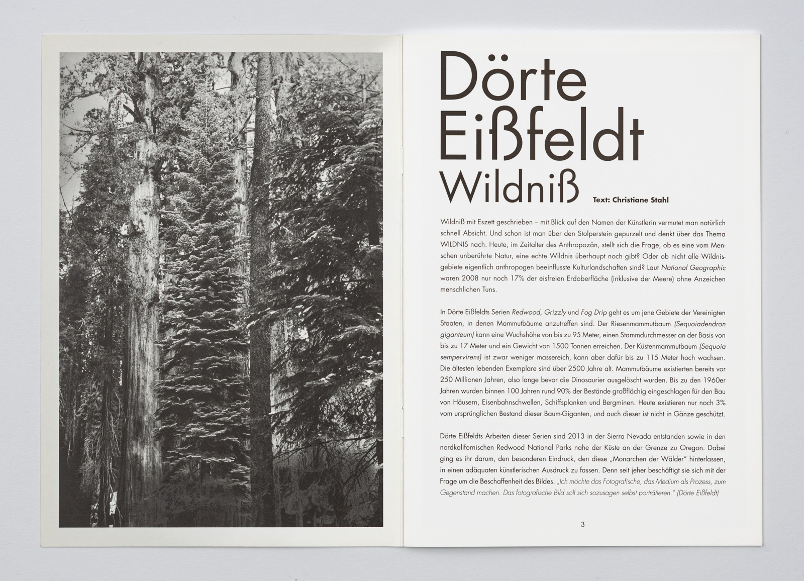 Repro des Buches Wildniß zur Ausstellung von Dörte Eißfeldt